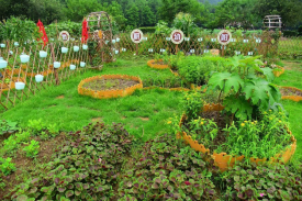 河北省中草药种植康养休闲旅游旅行建设项目可行性研究报告